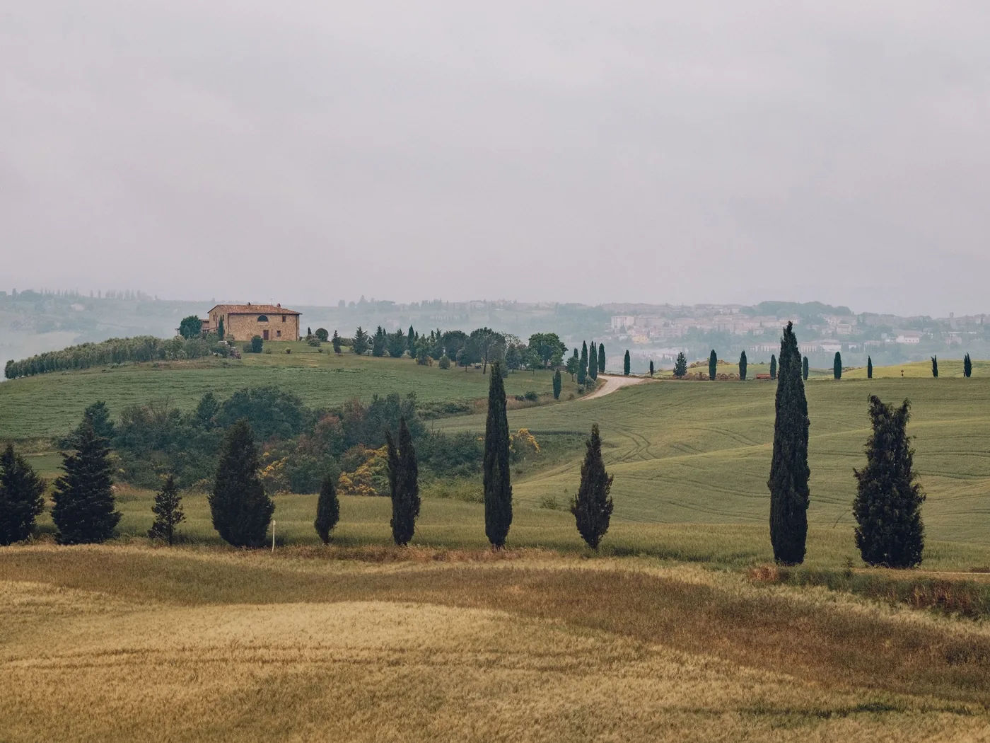Rolling Tuscan vineyards and cypress trees in the Chianti hills